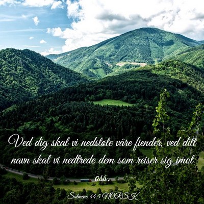 Picture 03 - Salmene 44:5 NORSK - Ved dig skal vi nedstøte våre fiender, ved ditt - Bible Verse Picture