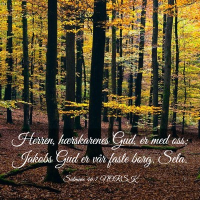 Picture 03 - Salmene 46:7 NORSK - Herren, hærskarenes Gud, er med oss; Jakobs Gud - Bible Verse Picture