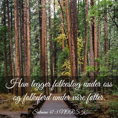 Picture 03 - Salmene 47:3 NORSK - Han legger folkeslag under oss og folkeferd under - Bible Verse Picture
