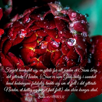 Picture 03 - Salmene 48:2 NORSK - Fagert hever det sig, en glede for all jorden er - Bible Verse Picture