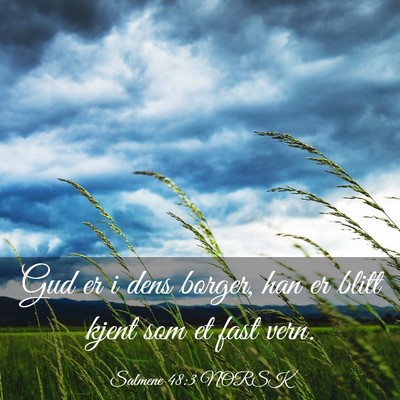 Picture 03 - Salmene 48:3 NORSK - Gud er i dens borger, han er blitt kjent som et - Bible Verse Picture