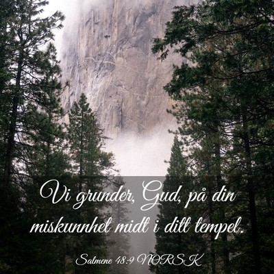 Picture 03 - Salmene 48:9 NORSK - Vi grunder, Gud, på din miskunnhet midt i ditt - Bible Verse Picture