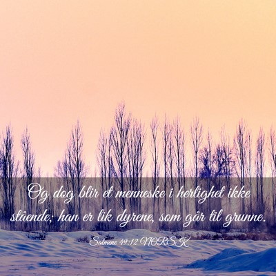 Picture 03 - Salmene 49:12 NORSK - Og dog blir et menneske i herlighet ikke - Bible Verse Picture