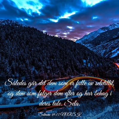 Picture 03 - Salmene 49:13 NORSK - Således går det dem som er fulle av selvtillit, - Bible Verse Picture