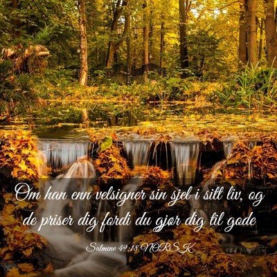 Picture 03 - Salmene 49:18 NORSK - Om han enn velsigner sin sjel i sitt liv, og de - Bible Verse Picture