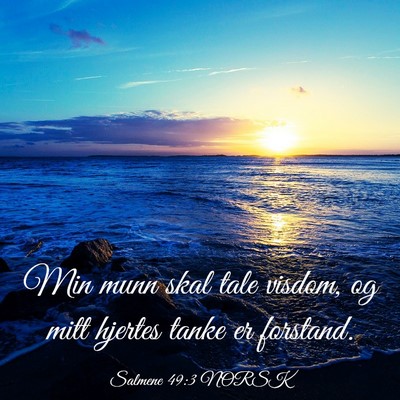 Picture 03 - Salmene 49:3 NORSK - Min munn skal tale visdom, og mitt hjertes tanke - Bible Verse Picture