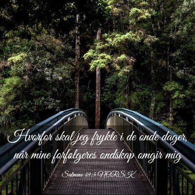 Picture 03 - Salmene 49:5 NORSK - Hvorfor skal jeg frykte i de onde dager, når - Bible Verse Picture