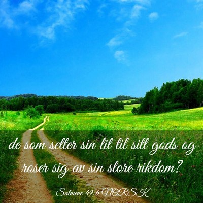 Picture 03 - Salmene 49:6 NORSK - de som setter sin lit til sitt gods og roser sig - Bible Verse Picture