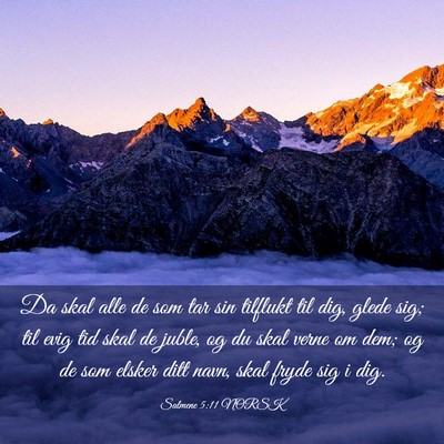 Picture 03 - Salmene 5:11 NORSK - Da skal alle de som tar sin tilflukt til dig, - Bible Verse Picture