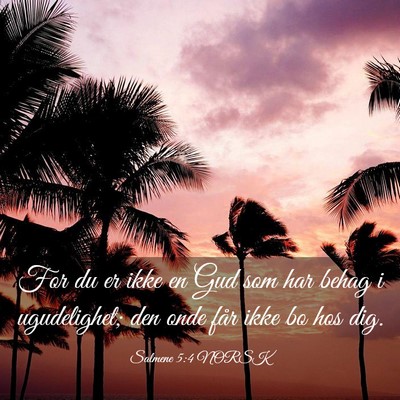 Picture 03 - Salmene 5:4 NORSK - For du er ikke en Gud som har behag i - Bible Verse Picture