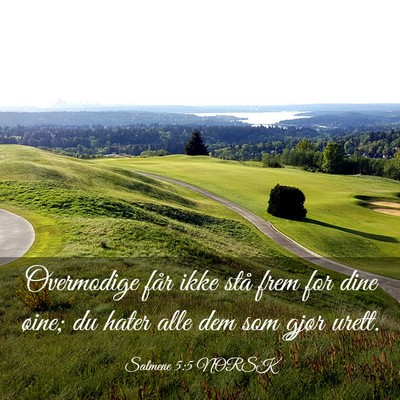 Picture 03 - Salmene 5:5 NORSK - Overmodige får ikke stå frem for dine øine; du - Bible Verse Picture