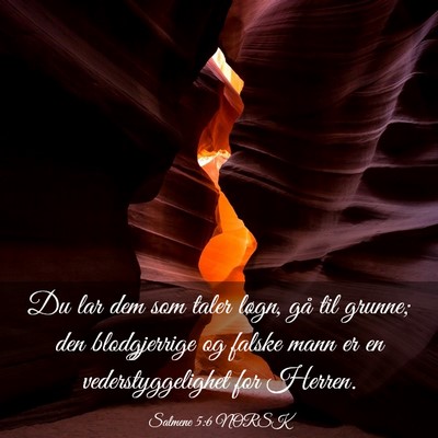 Picture 03 - Salmene 5:6 NORSK - Du lar dem som taler løgn, gå til grunne; den - Bible Verse Picture