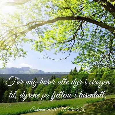 Picture 03 - Salmene 50:10 NORSK - For mig hører alle dyr i skogen til, dyrene på - Bible Verse Picture