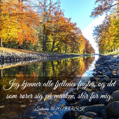 Picture 03 - Salmene 50:11 NORSK - Jeg kjenner alle fjellenes fugler, og det som - Bible Verse Picture