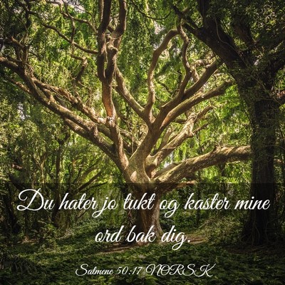 Picture 03 - Salmene 50:17 NORSK - Du hater jo tukt og kaster mine ord bak - Bible Verse Picture