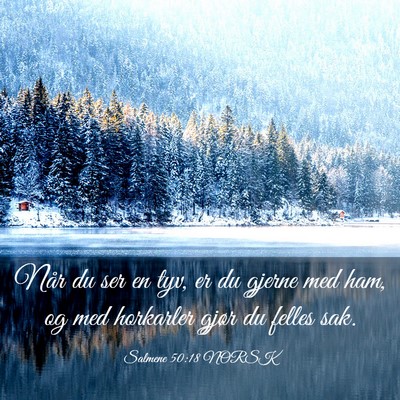 Picture 03 - Salmene 50:18 NORSK - Når du ser en tyv, er du gjerne med ham, og med - Bible Verse Picture