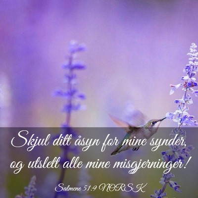 Picture 03 - Salmene 51:9 NORSK - Skjul ditt åsyn for mine synder, og utslett alle - Bible Verse Picture