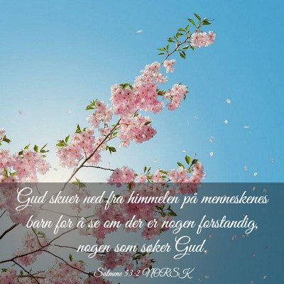 Picture 03 - Salmene 53:2 NORSK - Gud skuer ned fra himmelen på menneskenes barn - Bible Verse Picture