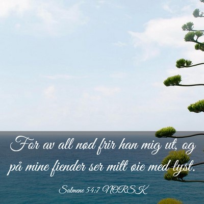 Picture 03 - Salmene 54:7 NORSK - For av all nød frir han mig ut, og på mine - Bible Verse Picture