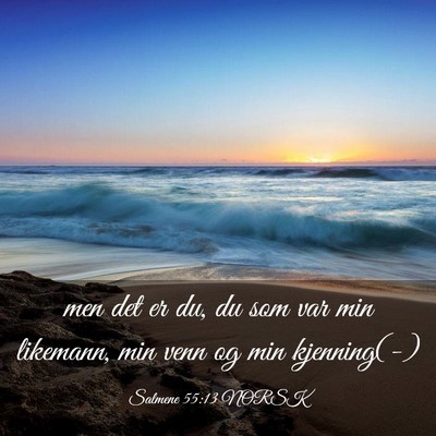 Picture 03 - Salmene 55:13 NORSK - men det er du, du som var min likemann, min venn - Bible Verse Picture