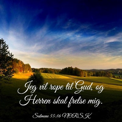Picture 03 - Salmene 55:16 NORSK - Jeg vil rope til Gud, og Herren skal frelse - Bible Verse Picture