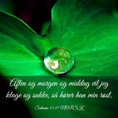 Picture 03 - Salmene 55:17 NORSK - Aften og morgen og middag vil jeg klage og sukke, - Bible Verse Picture