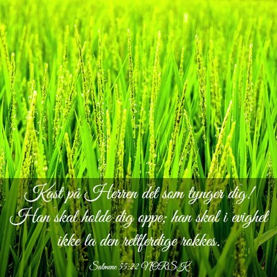 Picture 03 - Salmene 55:22 NORSK - Kast på Herren det som tynger dig! Han skal - Bible Verse Picture