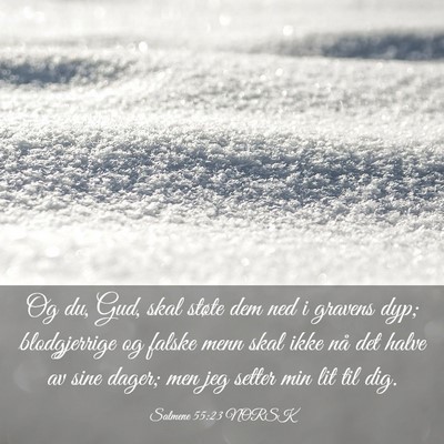 Picture 03 - Salmene 55:23 NORSK - Og du, Gud, skal støte dem ned i gravens dyp; - Bible Verse Picture