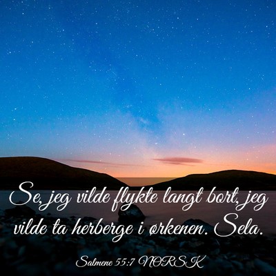 Picture 03 - Salmene 55:7 NORSK - Se, jeg vilde flykte langt bort, jeg vilde ta - Bible Verse Picture