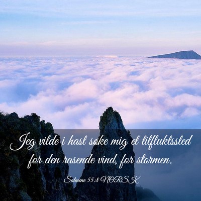 Picture 03 - Salmene 55:8 NORSK - Jeg vilde i hast søke mig et tilfluktssted for - Bible Verse Picture