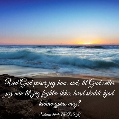 Picture 03 - Salmene 56:4 NORSK - Ved Gud priser jeg hans ord; til Gud setter jeg - Bible Verse Picture