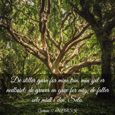 Picture 03 - Salmene 57:6 NORSK - De stiller garn for mine trin, min sjel er - Bible Verse Picture