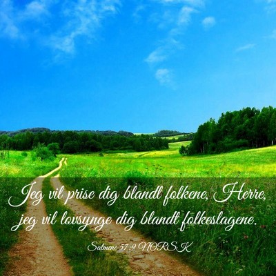 Picture 03 - Salmene 57:9 NORSK - Jeg vil prise dig blandt folkene, Herre, jeg vil - Bible Verse Picture