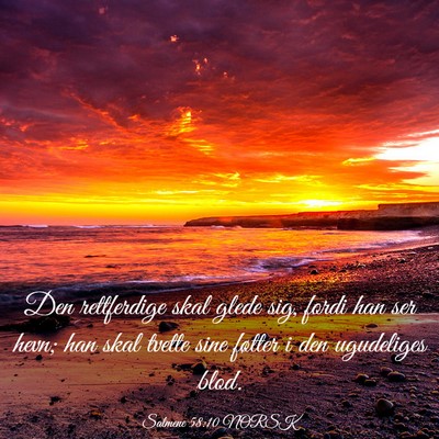 Picture 03 - Salmene 58:10 NORSK - Den rettferdige skal glede sig, fordi han ser - Bible Verse Picture