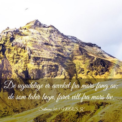Picture 03 - Salmene 58:3 NORSK - De ugudelige er avveket fra mors fang av; de som - Bible Verse Picture