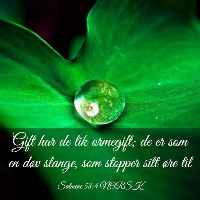 Picture 03 - Salmene 58:4 NORSK - Gift har de lik ormegift; de er som en døv - Bible Verse Picture