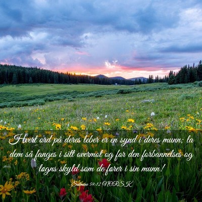 Picture 03 - Salmene 59:12 NORSK - Hvert ord på deres leber er en synd i deres - Bible Verse Picture