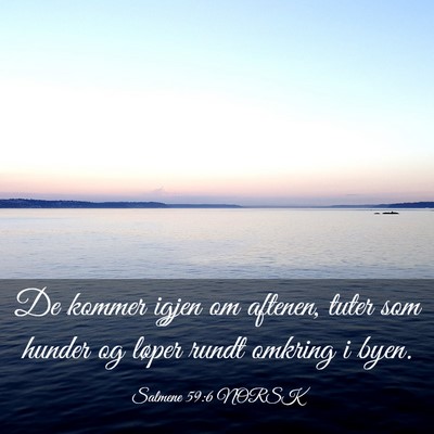 Picture 03 - Salmene 59:6 NORSK - De kommer igjen om aftenen, tuter som hunder og - Bible Verse Picture