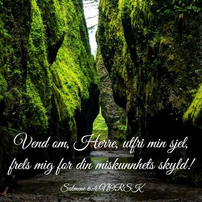 Picture 03 - Salmene 6:4 NORSK - Vend om, Herre, utfri min sjel, frels mig for din - Bible Verse Picture