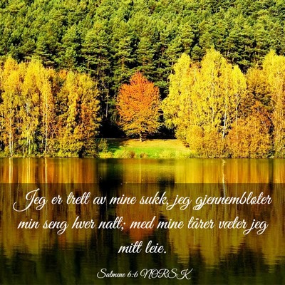 Picture 03 - Salmene 6:6 NORSK - Jeg er trett av mine sukk, jeg gjennembløter min - Bible Verse Picture