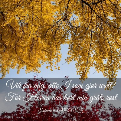 Picture 03 - Salmene 6:8 NORSK - Vik fra mig, alle I som gjør urett! For Herren - Bible Verse Picture