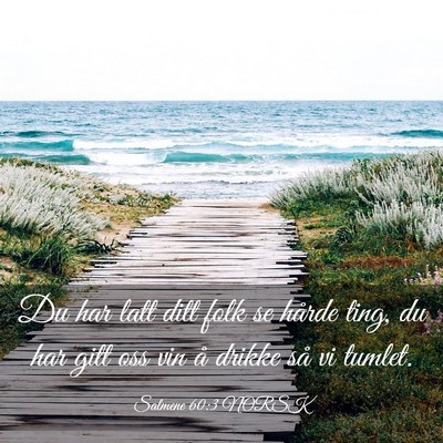 Picture 03 - Salmene 60:3 NORSK - Du har latt ditt folk se hårde ting, du har gitt - Bible Verse Picture