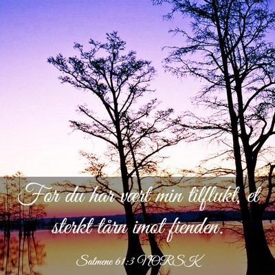 Picture 03 - Salmene 61:3 NORSK - For du har vært min tilflukt, et sterkt tårn - Bible Verse Picture