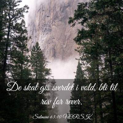 Picture 03 - Salmene 63:10 NORSK - De skal gis sverdet i vold, bli til rov for - Bible Verse Picture