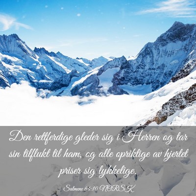 Picture 03 - Salmene 64:10 NORSK - Den rettferdige gleder sig i Herren og tar sin - Bible Verse Picture