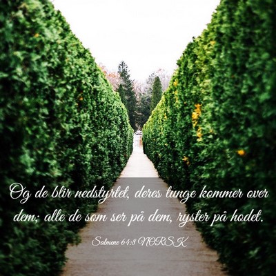 Picture 03 - Salmene 64:8 NORSK - Og de blir nedstyrtet, deres tunge kommer over - Bible Verse Picture