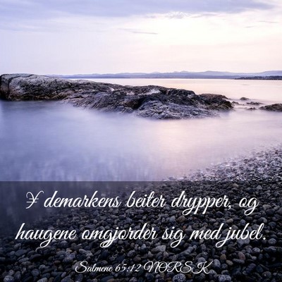 Picture 03 - Salmene 65:12 NORSK - ¥demarkens beiter drypper, og haugene omgjorder - Bible Verse Picture