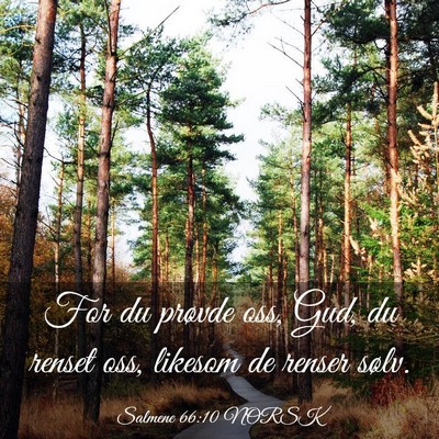 Picture 03 - Salmene 66:10 NORSK - For du prøvde oss, Gud, du renset oss, likesom - Bible Verse Picture