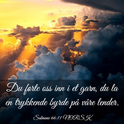 Picture 03 - Salmene 66:11 NORSK - Du førte oss inn i et garn, du la en trykkende - Bible Verse Picture