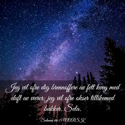 Picture 03 - Salmene 66:15 NORSK - Jeg vil ofre dig brennoffere av fett kveg med - Bible Verse Picture